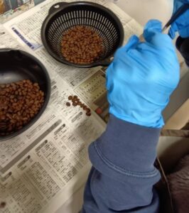 B型事業所で初心者でもできる作業とは？　仕事内容をご紹介